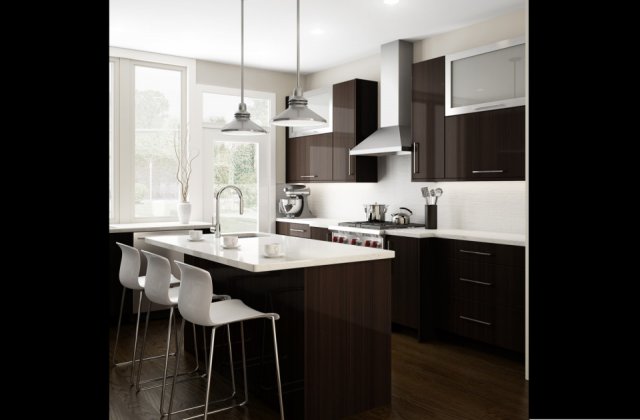 Bishop Cabinets - Contemporary