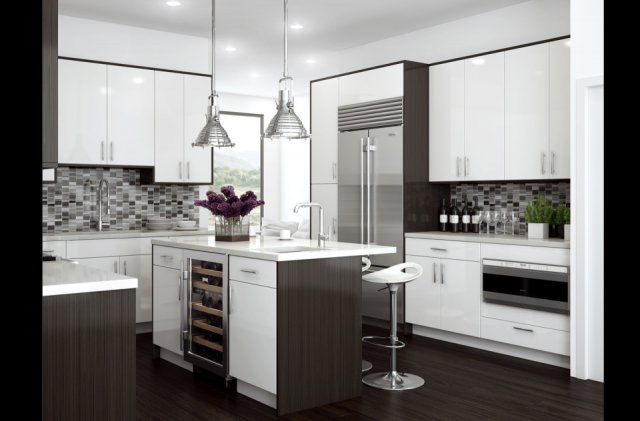 Bishop Cabinets - Contemporary