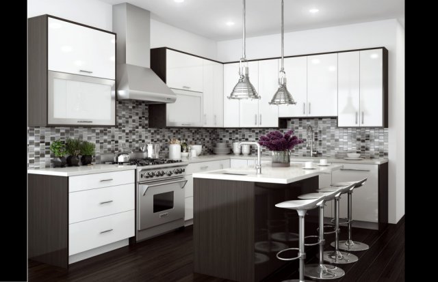 Bishop Cabinets - Contemporary